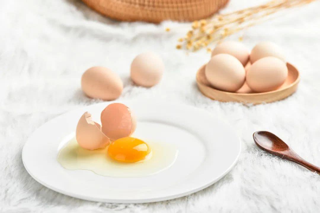 鸡蛋检测机构、鸡蛋常规检测项目有哪些
